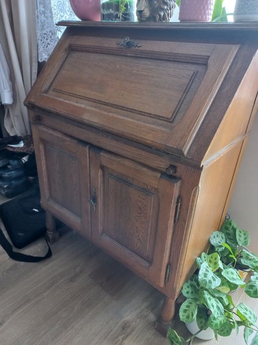 Sekretarzyk dębowy