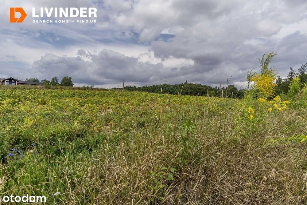 Działki Rolne 1,9 Ha | Minoga, Gm. Skała - Widok 2