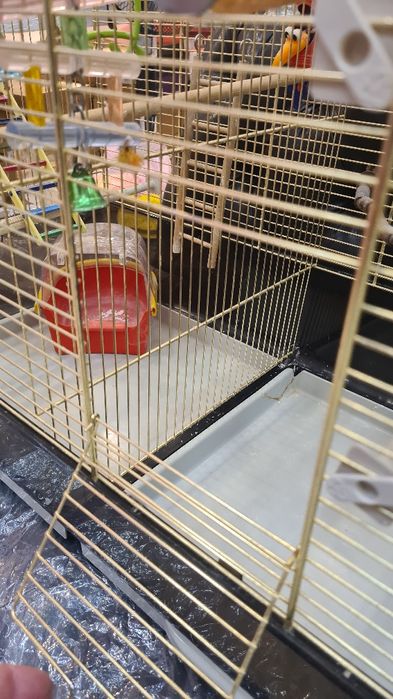 Клетка для птиц с перегородокой