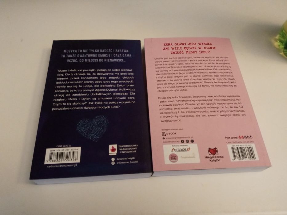 Agata Sobczak . W rytmie nienawiści. Cena sławy