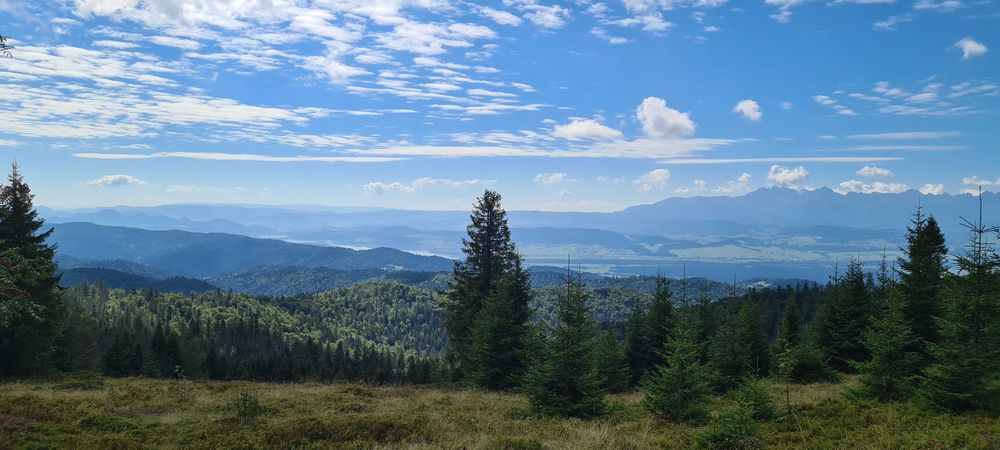 Domek do wynajęcia, bacówka w Gorcach z mega widokiem.