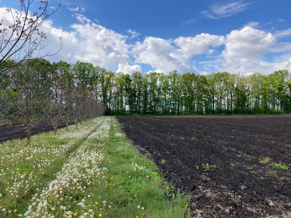 Продам земельну ділянку під комерцію біля складів Нової Пошти, Вінниця