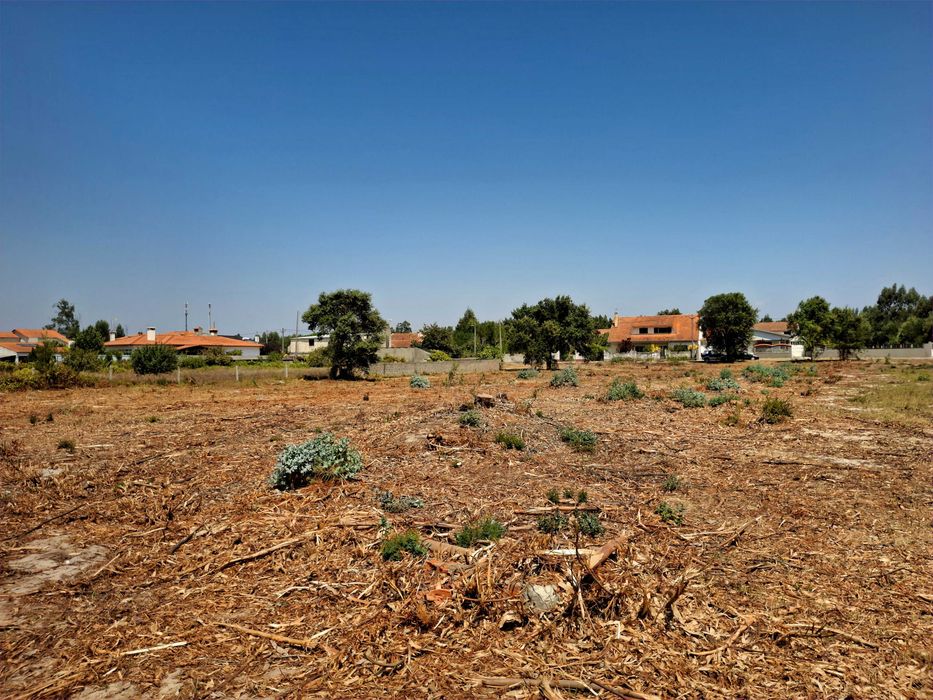 Terreno para venda em Mira