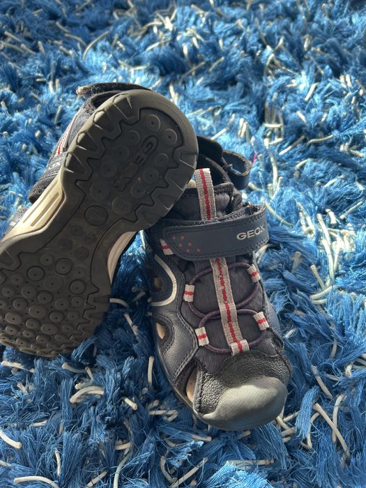 Sabdalia Geox tam 32