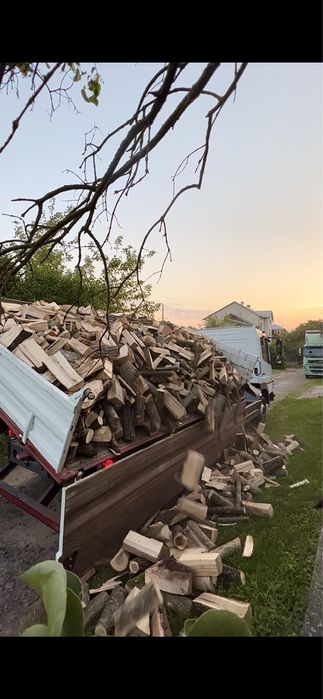 Дрова  рубані (дуб ,граб ,бук)