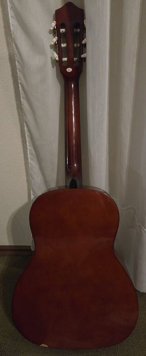 Viola com bolsa transporte