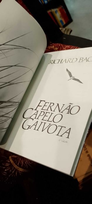 Richard Bach - Fernão Capelo Gaivota