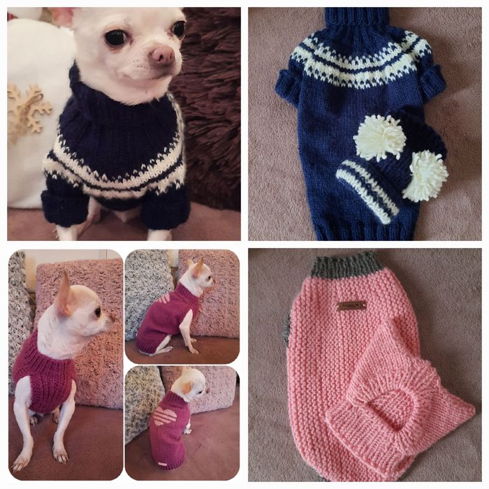 Одяг для собачок.