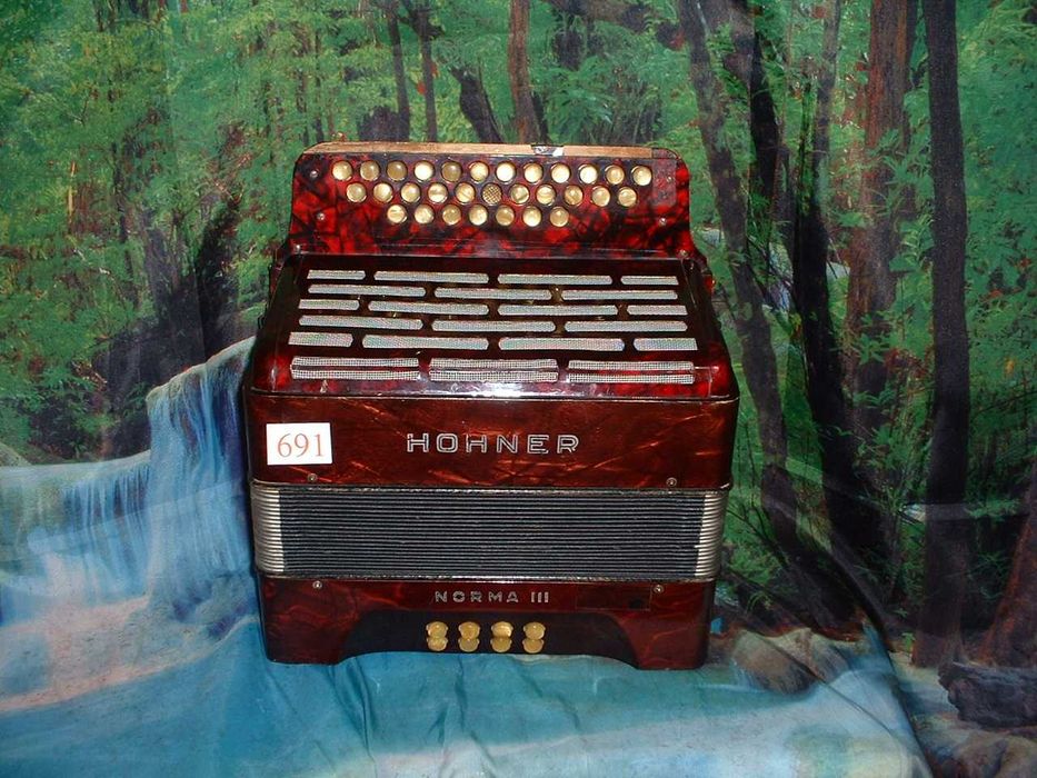 Concertina a venda n.691 Penedono • OLX Portugal