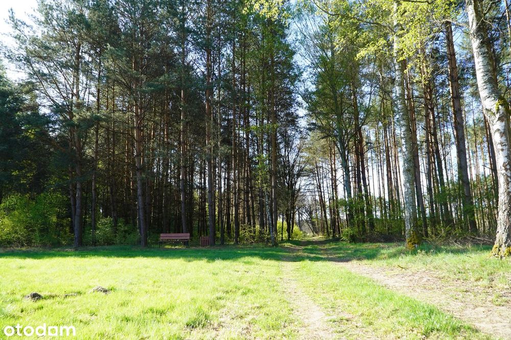 Dzialki budowlane Lipinki/Suchleb