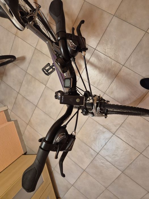 Rower Autor Linea damka