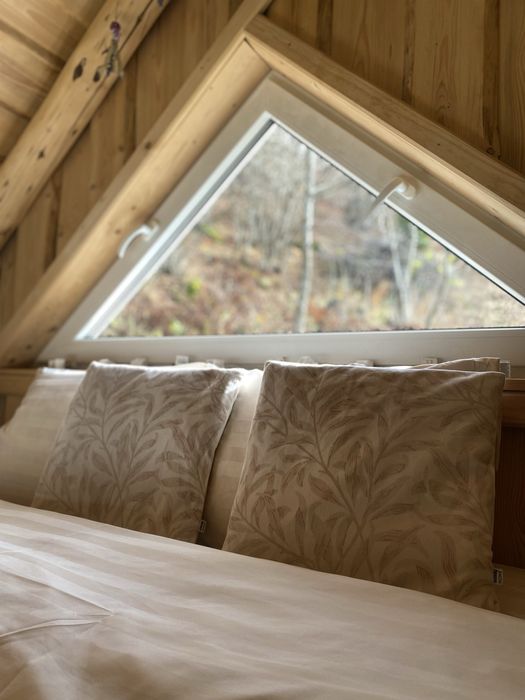 Будинок з чаном  Kosivchik