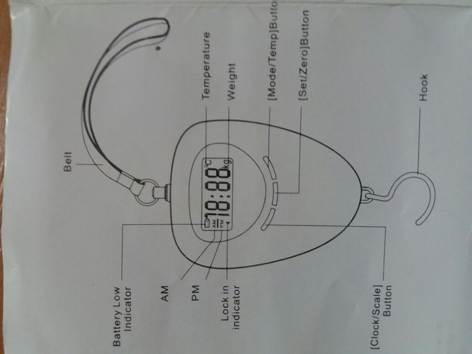 Waga elektroniczna TEAM MILO