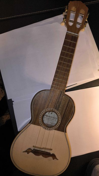 Cavaquinho Artimúsica CV12C + estojo