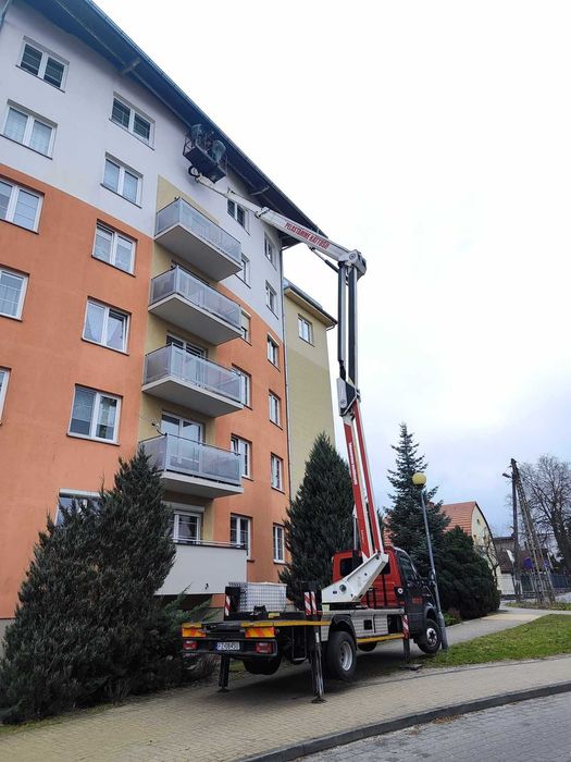 Podnośnik koszowy, wycinka drzew, podnośniki koszowe, zwyżka