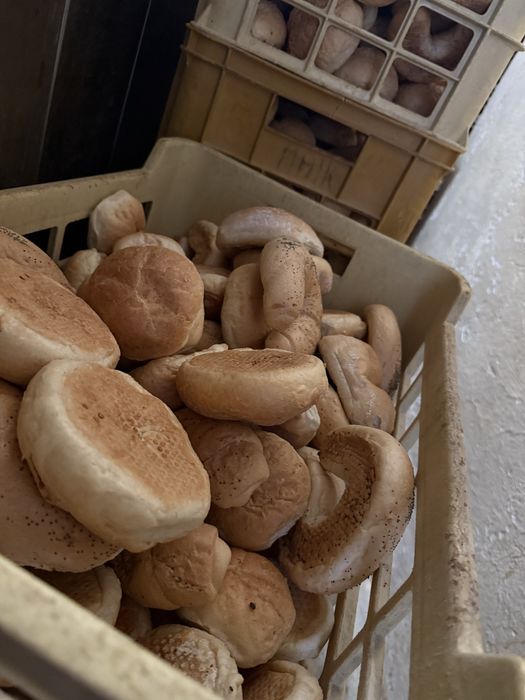 Czerstwe pieczywo