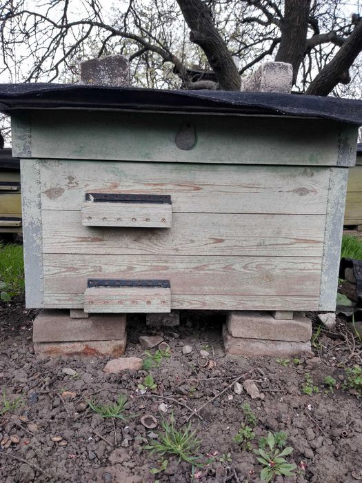 Вулики лежаки майже нові