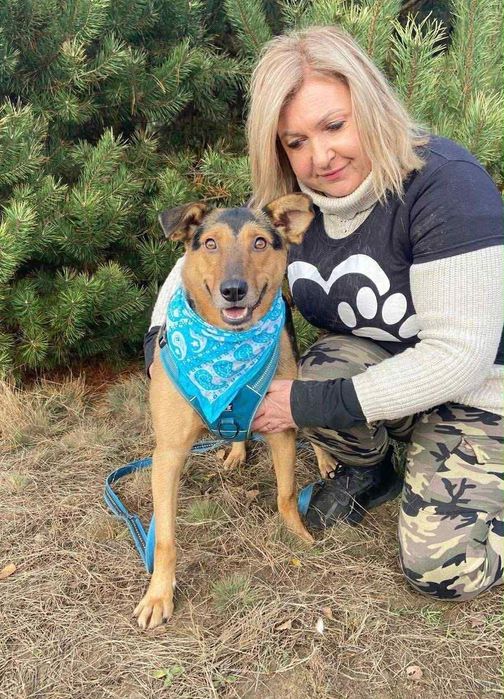 Pan Wisienka marzy o rodzinie.