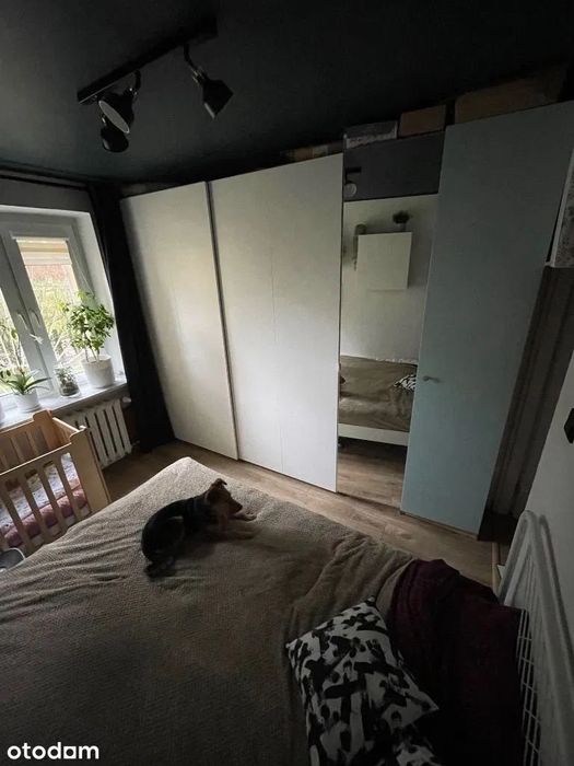 Wynajmę mieszkanie 2 pokojowe mieszkanie z ogródkiem Karwiny, Gdynia