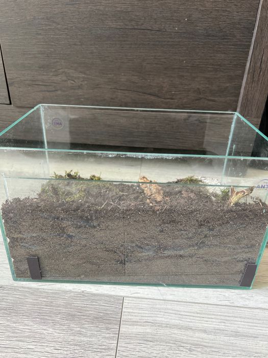 Formikarium dla mrówek + gniazdo