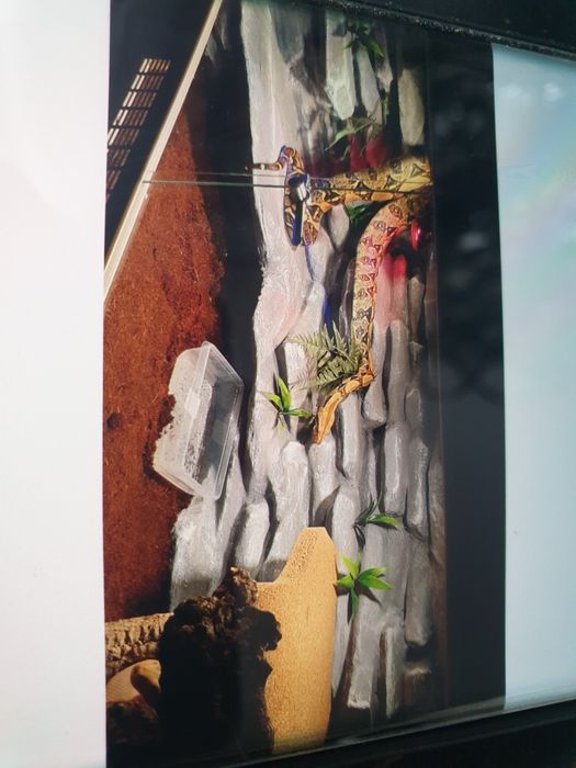 Terraria z mieszkańcami