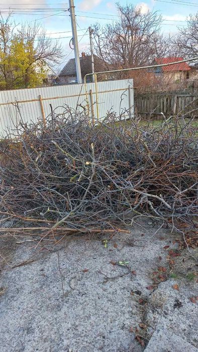 Віддам даром, самовивіз гілки на розтопку