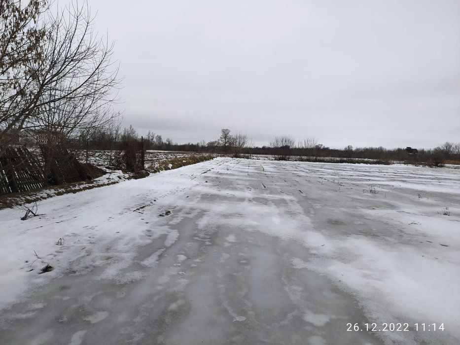 Продам будинок в селі Виблі, 40 сот. прив. землі