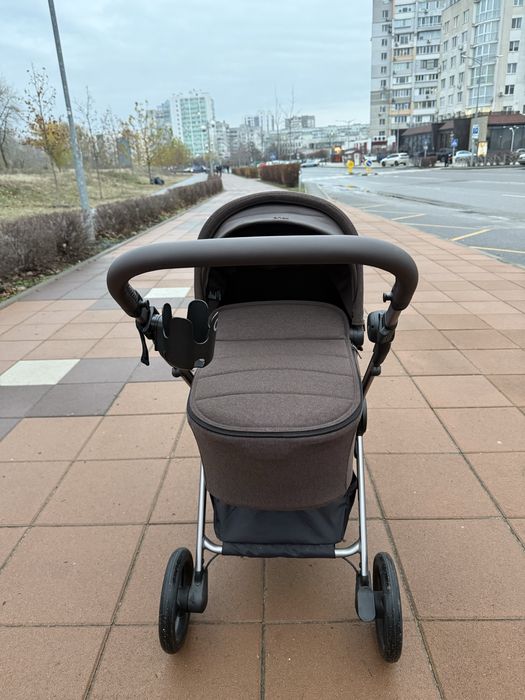 Anex IQ Premium колір Teddy