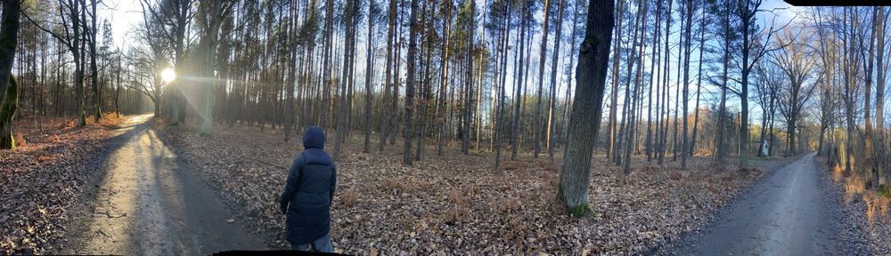 Działka 1,81 ha | Olszynki, gm. Młodzieszyn, pow. sochaczewski Warunki zabudowy | las | cisza | SLOW LIFE - Widok 3