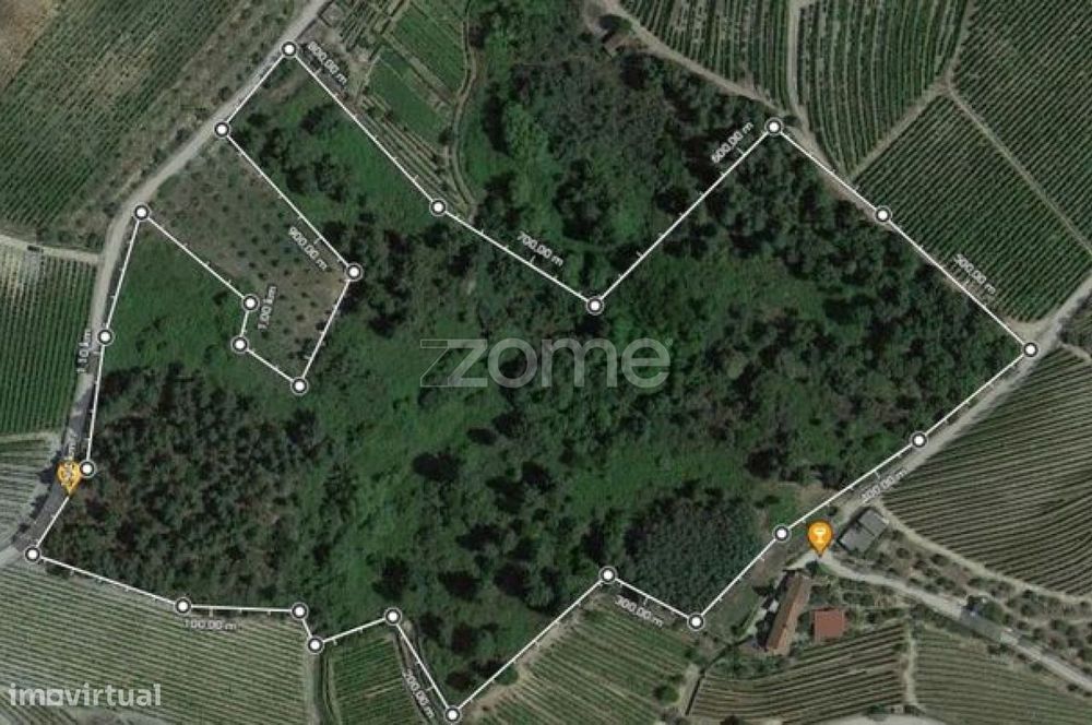 Terreno, Favaios