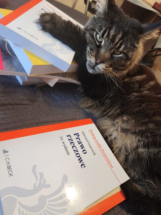 Prawo rzeczowe - E. Gniewek