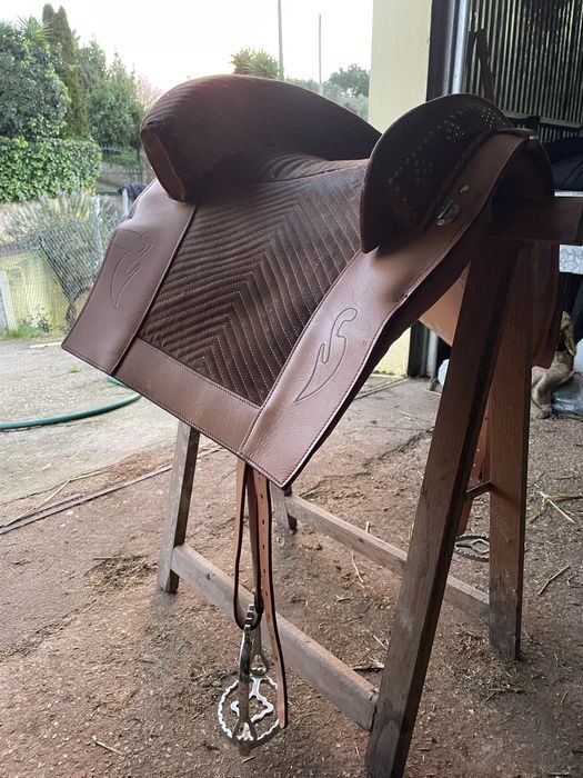 Cela á portuguesa nova