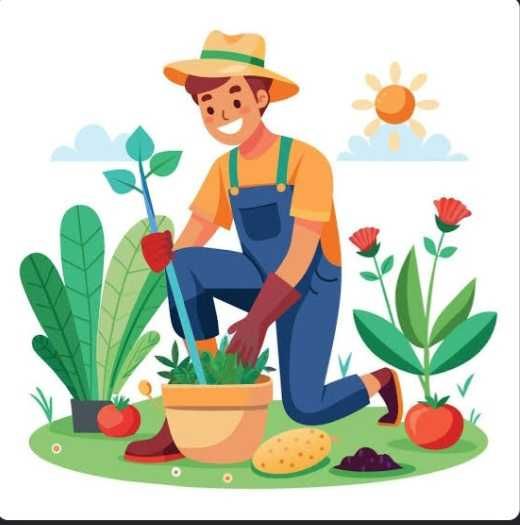 Serviços de Jardinagem
