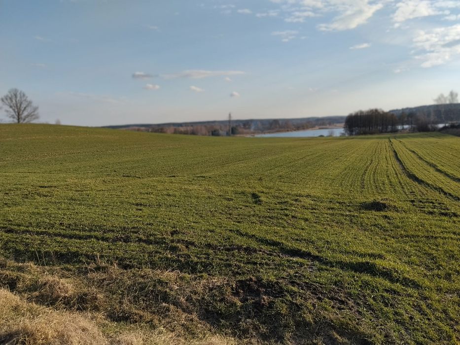 Działka budowlana Nowa Wioska