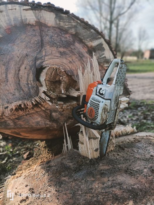 Wycinka drzew ,karczowanie ,mulczer