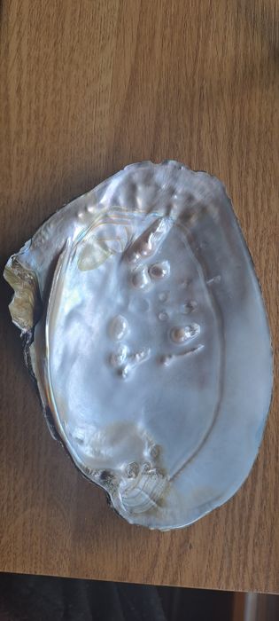 Продам  фото альбомы и рамка.