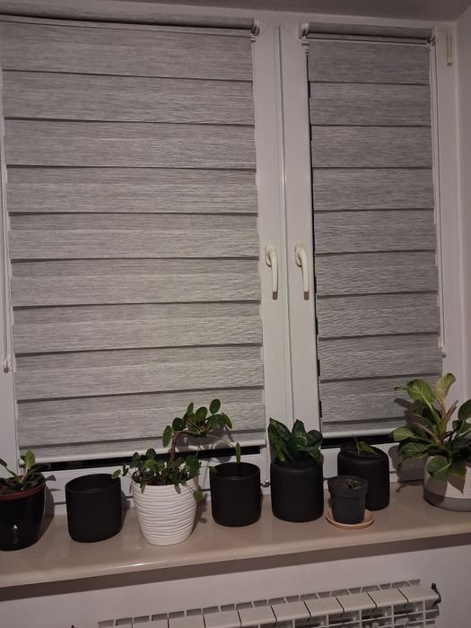 Okno  plastikowe moskitiera rolety