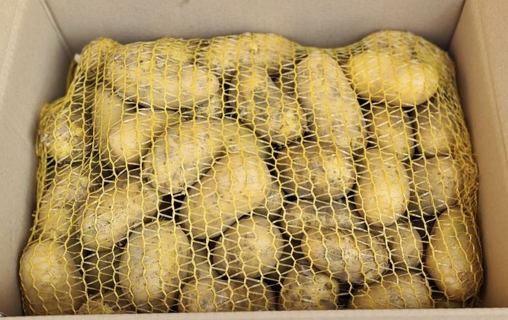 Ziemniaki 15kg soraya bardzo smaczne bezpośrednio od rolnika