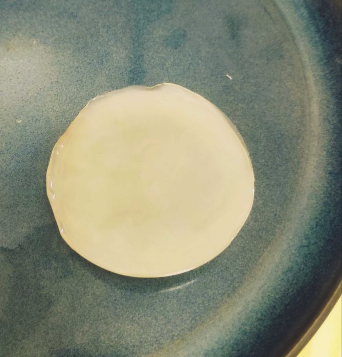 Kombucha - kombucza grzybek herbaciany (Scooby + starter)