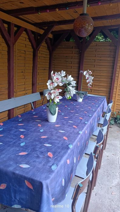 Nowa cena Noworoczna !Ogródek działkowy 503m2