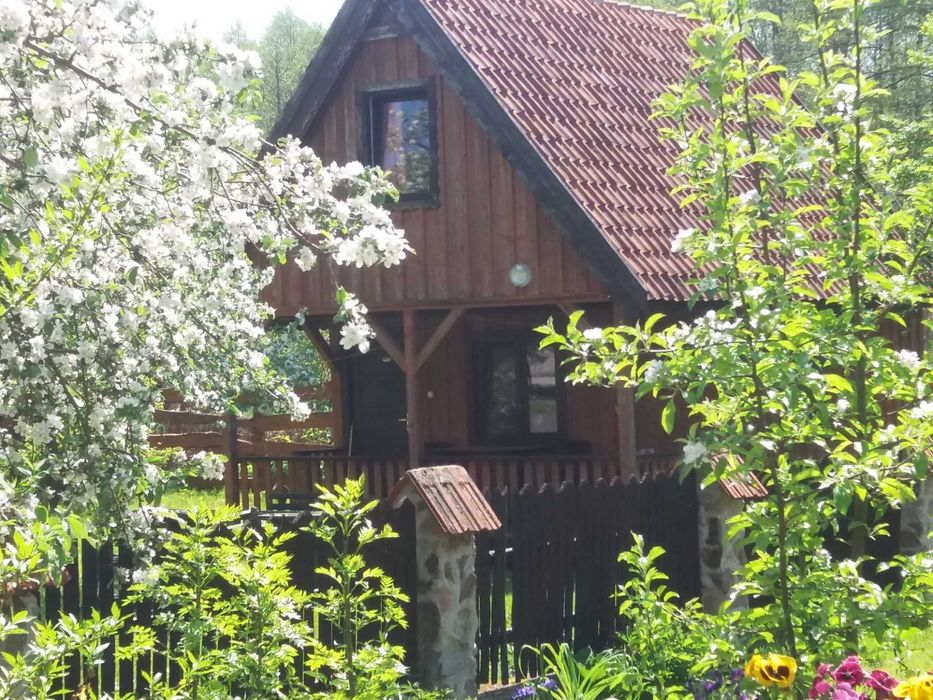 Agroturystyka Mazury nad samym jeziorem, Domki  w Bałowie