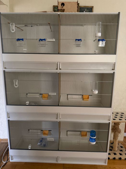 Клiтка для Амадин