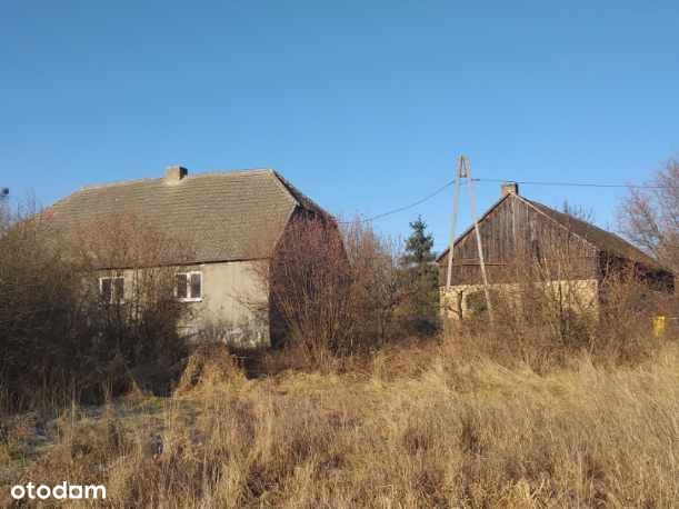 Wyjątkowe siedlisko nad rzeką Wartą