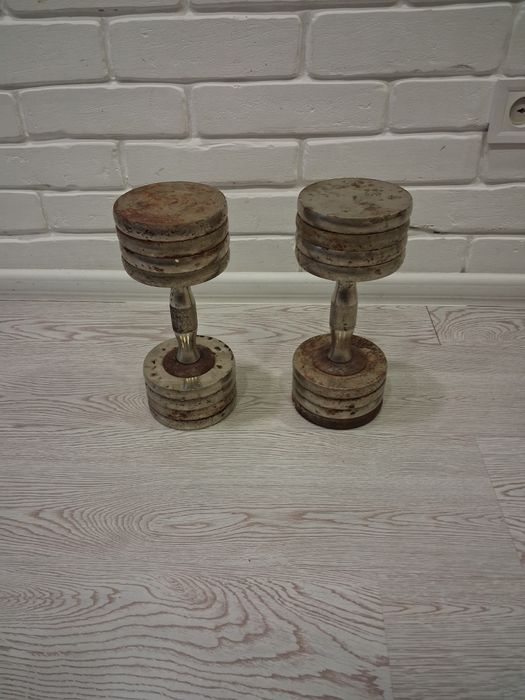 Гантелі металеві по 12 кг