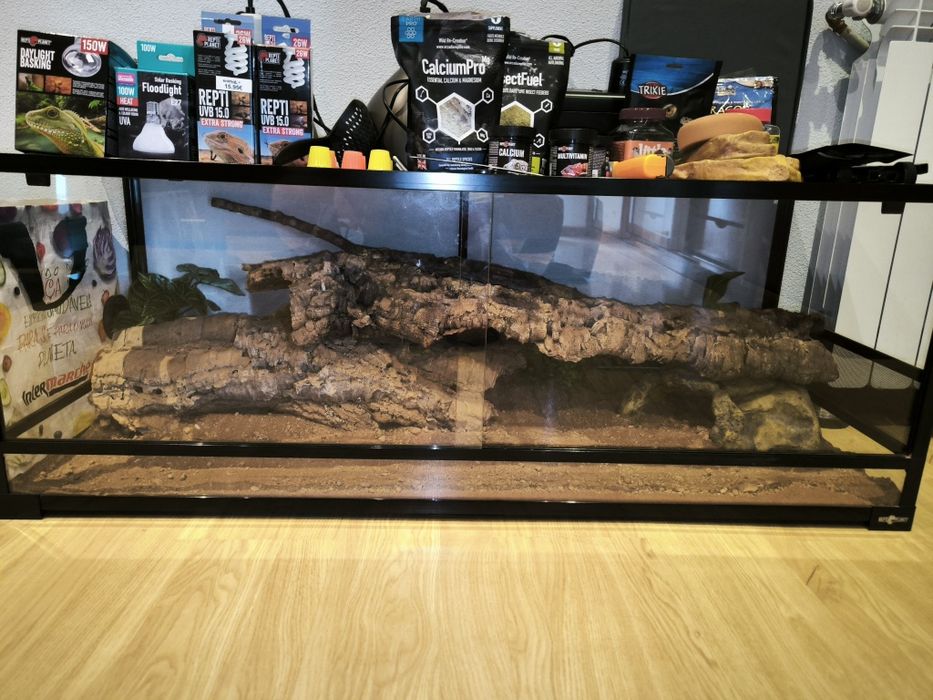 Terrário Grande C/ Acessórios