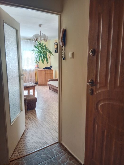 Zdjęcie 5