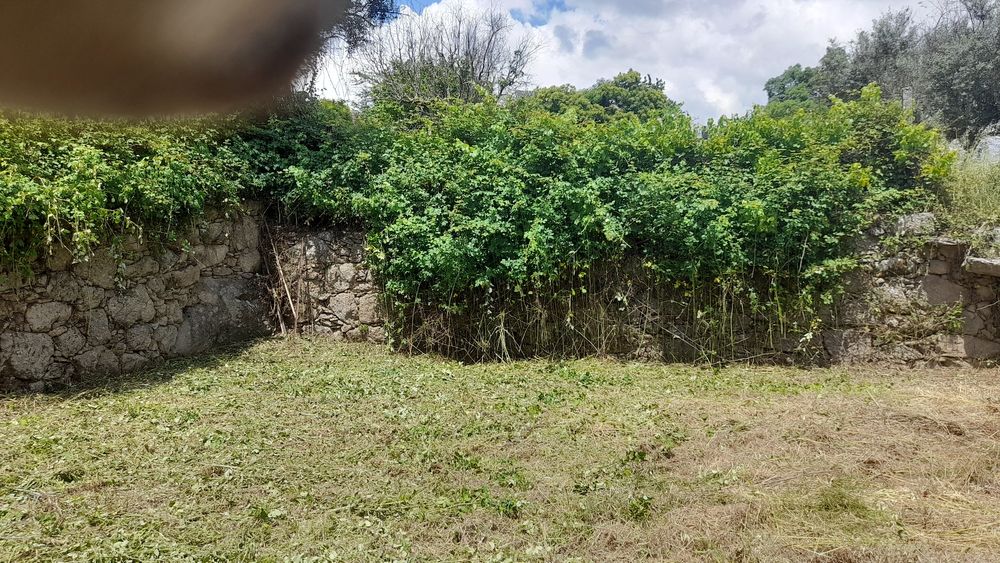 Limpeza de mato junto a edificações.