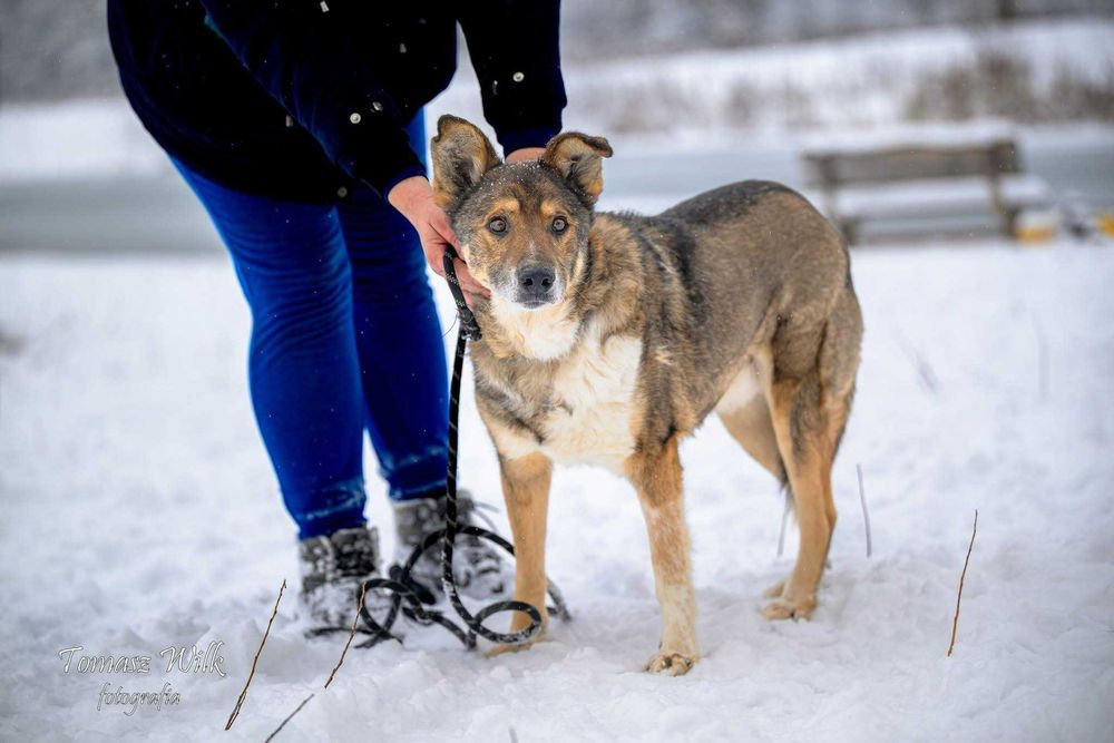 Bezulek nie chce odejść za kratami