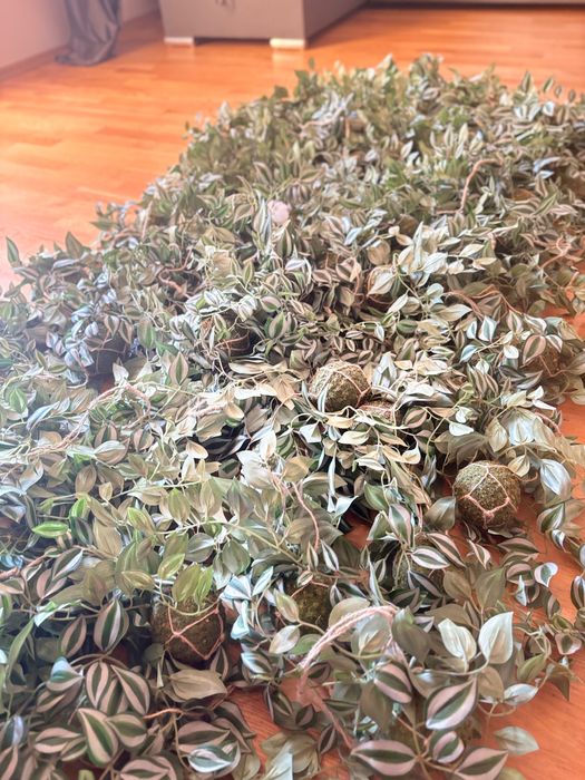 Dekoracja dżungla zielone kule