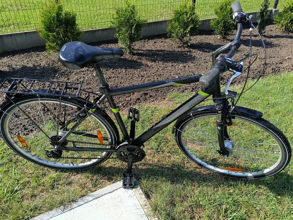 Pegasus Avanti 28 cali,rama 53 cm